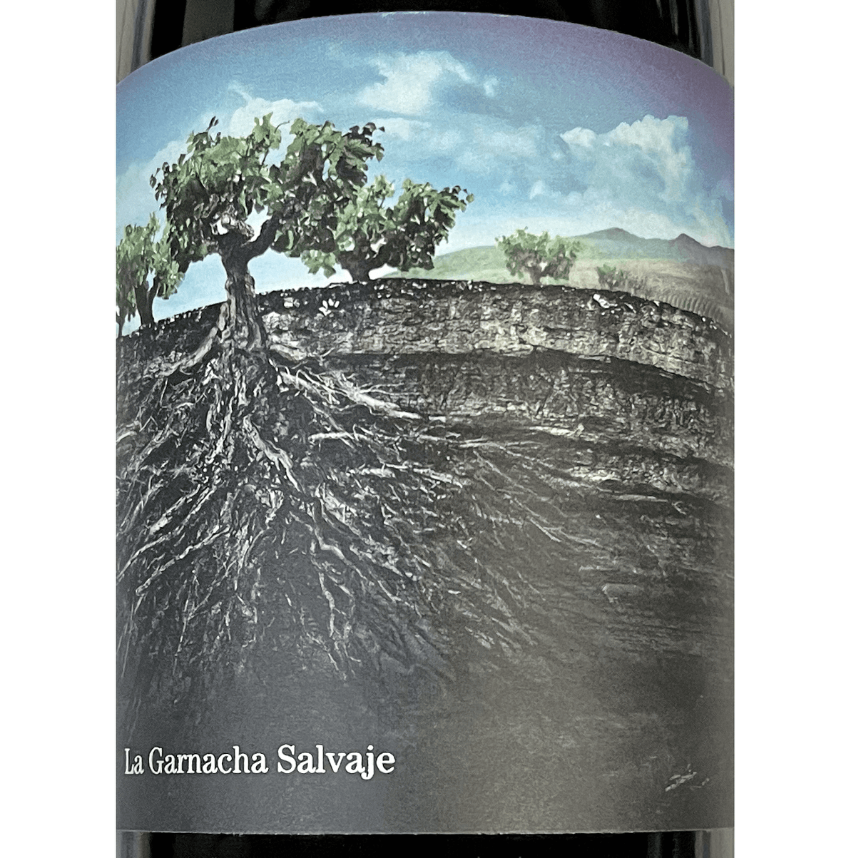 2021 La Garnacha Salvaje Proyecto Garnacha